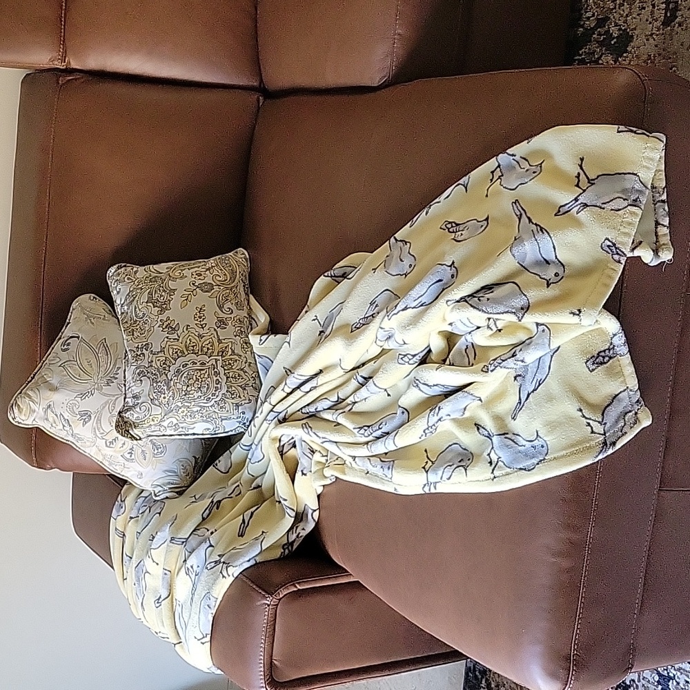 Pillows and throw